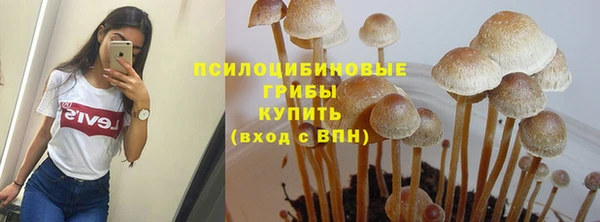 герыч Лагань