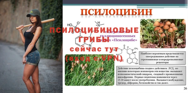 прущая мука Ладушкин